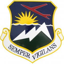 USAF 142nd Wing Emblem Plaque