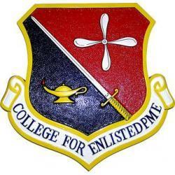 College for Enlisted Professional Military Education (PME) Crest Plaque 