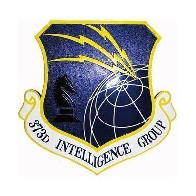 373D Intelligence Group