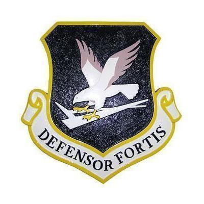 USAF Security Forces Emblem Plaque